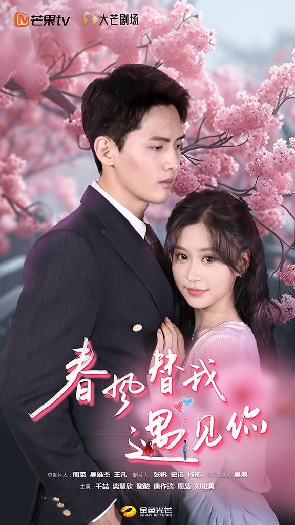 春风替我遇见你 第1-20集