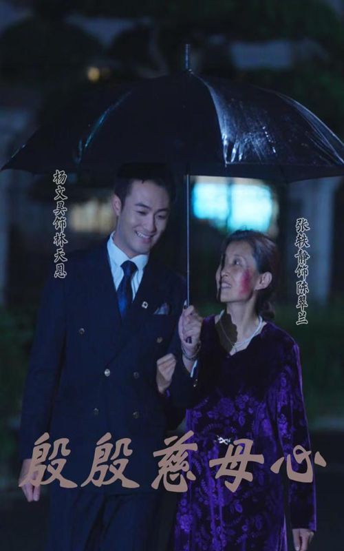 殷殷慈母心 第21-40集