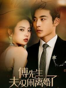 傅先生夫人又闹离婚了 第1-20集