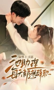 偷怀上司崽池助理每天都想辞职 第61-74集完结(大结局)