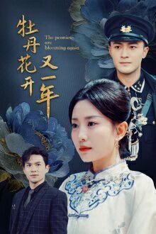 牡丹花开又一年 第21-40集