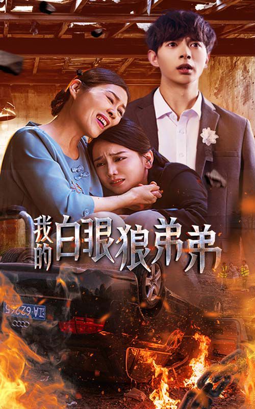 我的白眼狼弟弟 第41-69集完结(大结局)