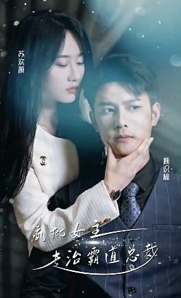 疯批女主专治霸道总裁 第1-20集