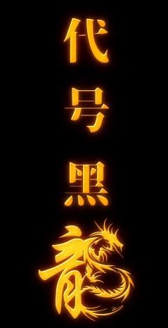 代号黑龙 第1-20集