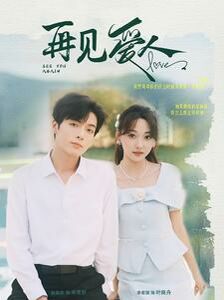 新再见爱人 第41-60集