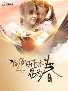 向阳花木易为春 第21-40集