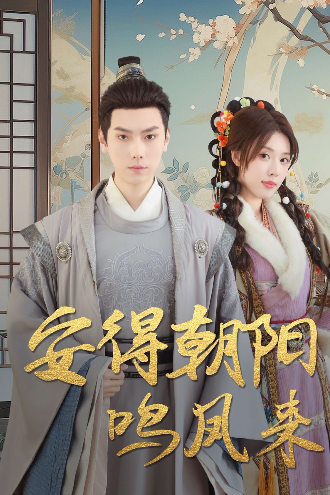 安得朝阳鸣凤来 第1-20集