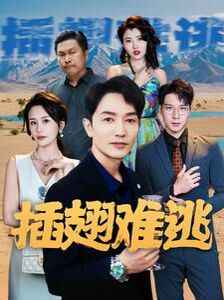 插翅难逃 第1-20集