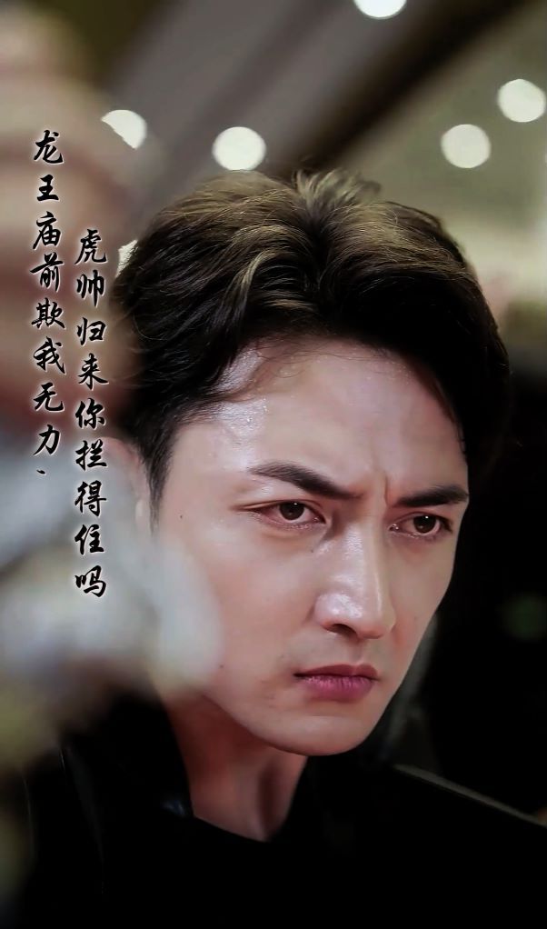 龙王庙前欺我无力，虎帅归来你拦得住吗 第1-20集