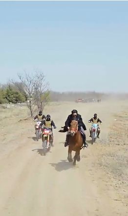 镇世天骄 第81-103集完结(大结局)