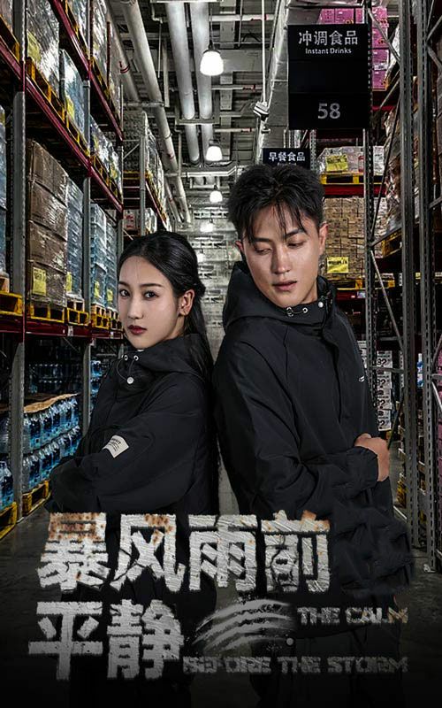 暴风雨前的平静 全集完结(大结局)