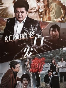 红颜暗老白发新 第1-20集