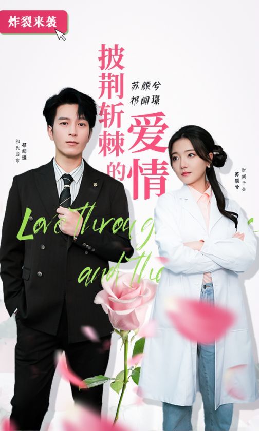 披荆斩棘的爱情 第1-20集