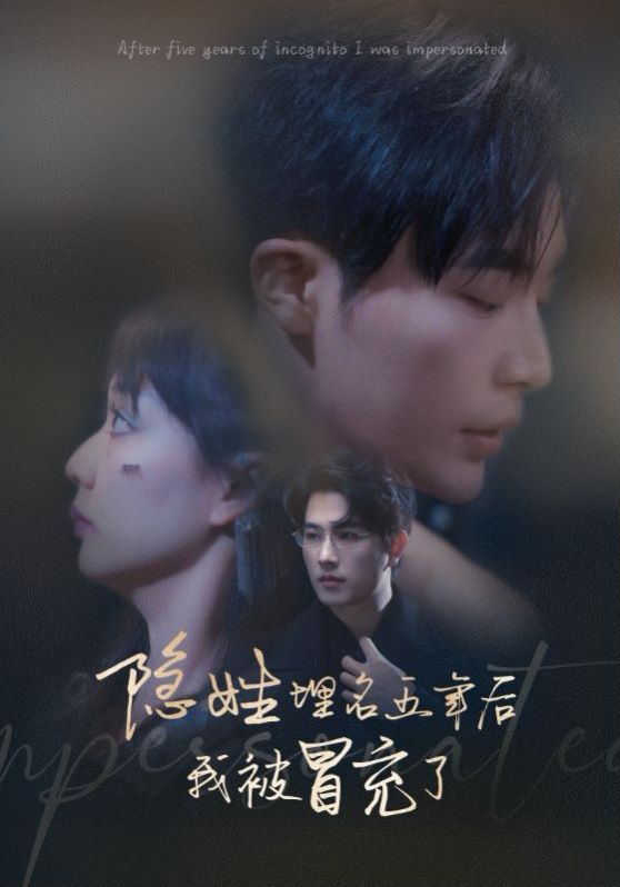 隐姓埋名五年后我被冒充了 第1-20集