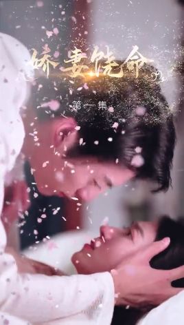 娇妻饶命 第41-60集