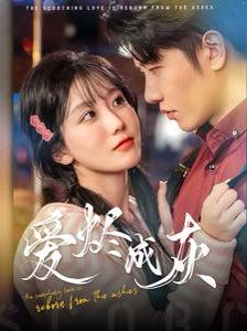 爱烬成灰 第1-20集