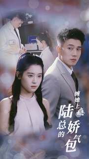 缠她上瘾陆总的娇气包 第1-20集