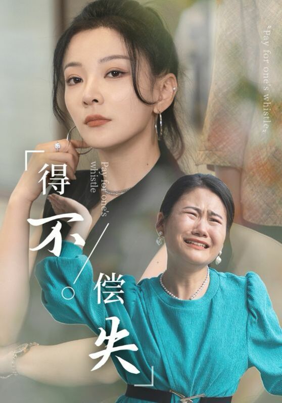 得不偿失 第21-40集